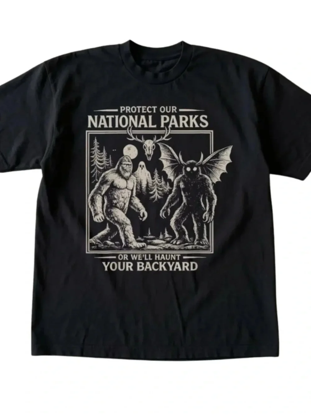 Black Tee with Cream National Parks Graphic